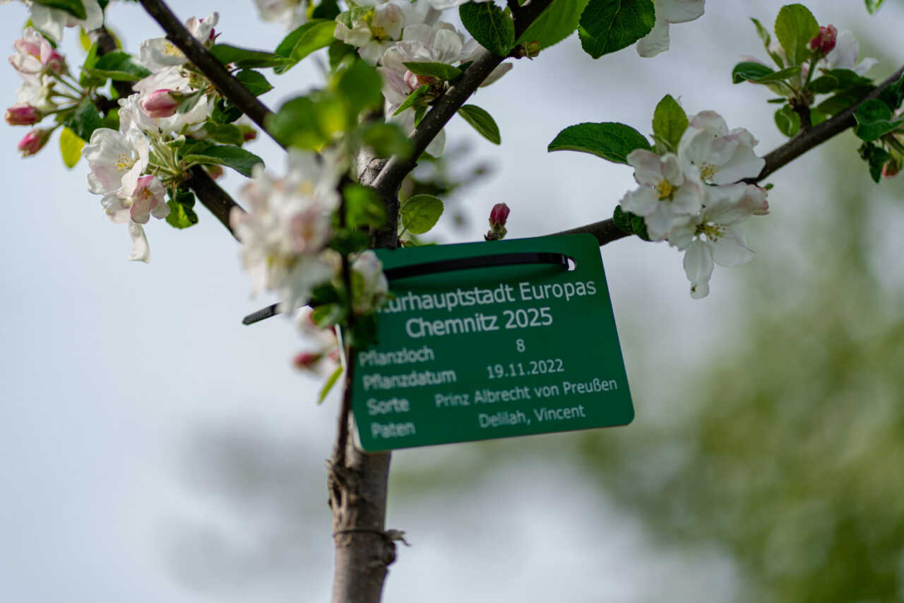 Kulturhauptstadt Europas Chemnitz Es Gibt Viel Grund Positiv Zu