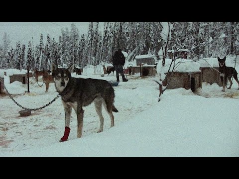 YouTube-Video-Thumbnail