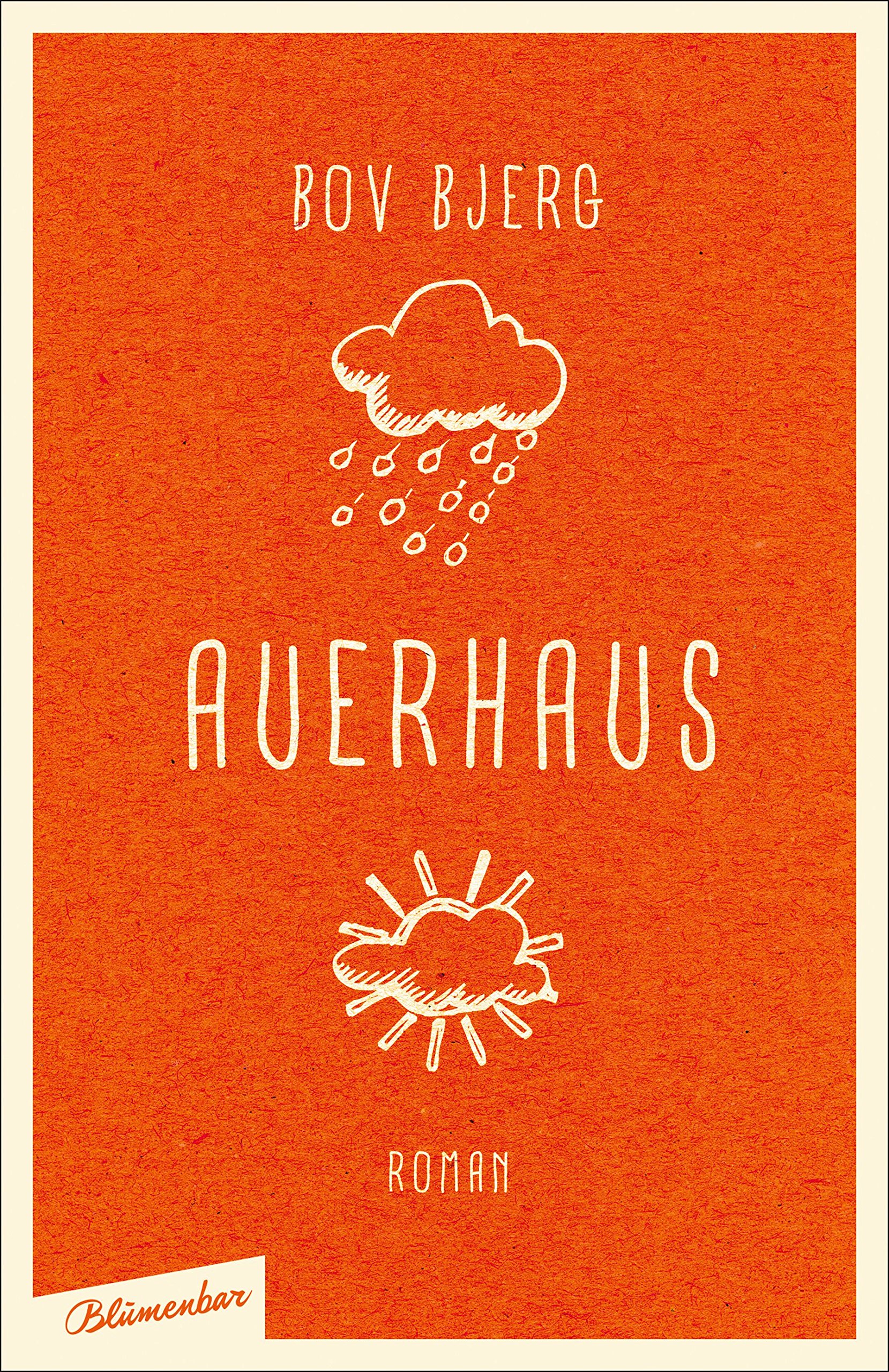 Cover Bjerg