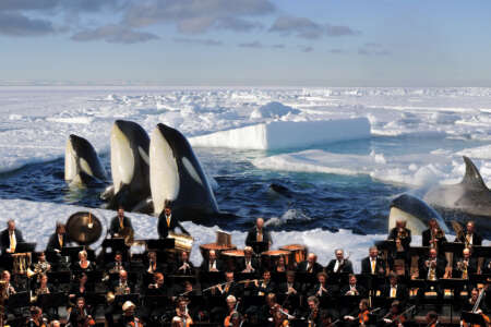 Frozen Planet: Spring