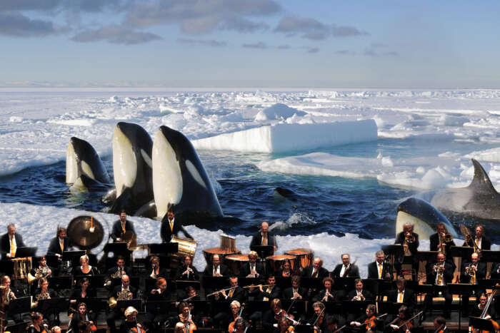 Frozen Planet: Spring