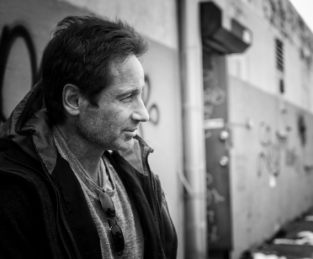 David Duchovny 2016
