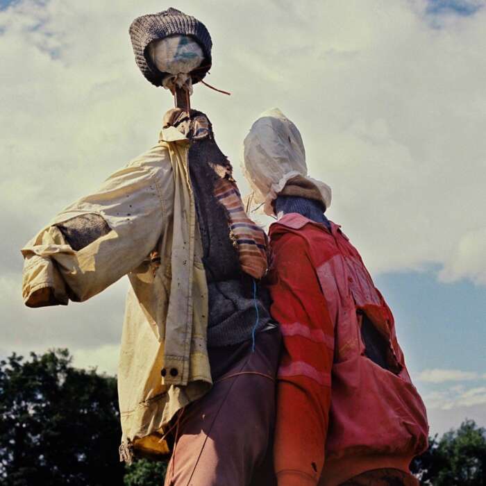 Eagulls