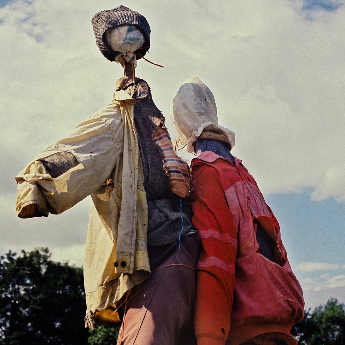 Eagulls