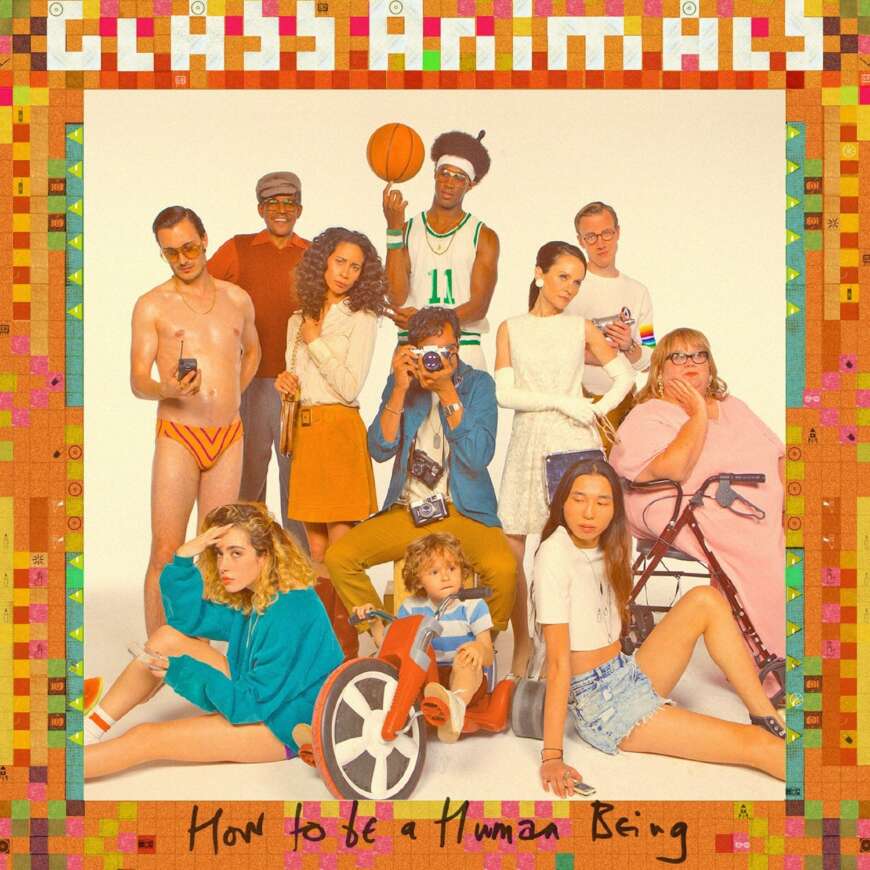 Cover Glass Animals