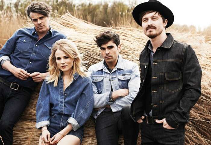 the-common-linnets
