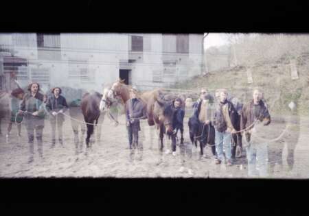 oracles_horses_1__tobias_huschka
