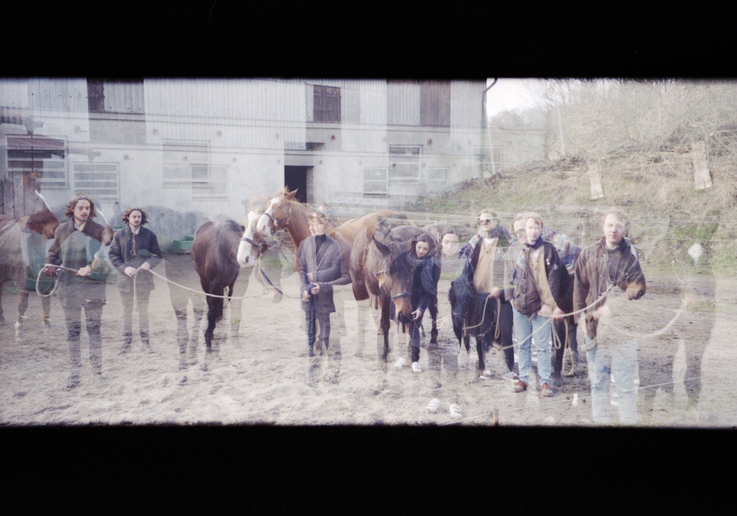 oracles_horses_1__tobias_huschka