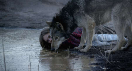 wilder