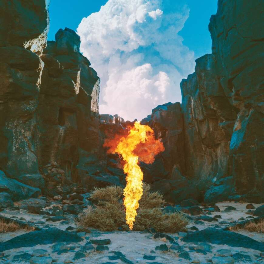 cover-bonobo