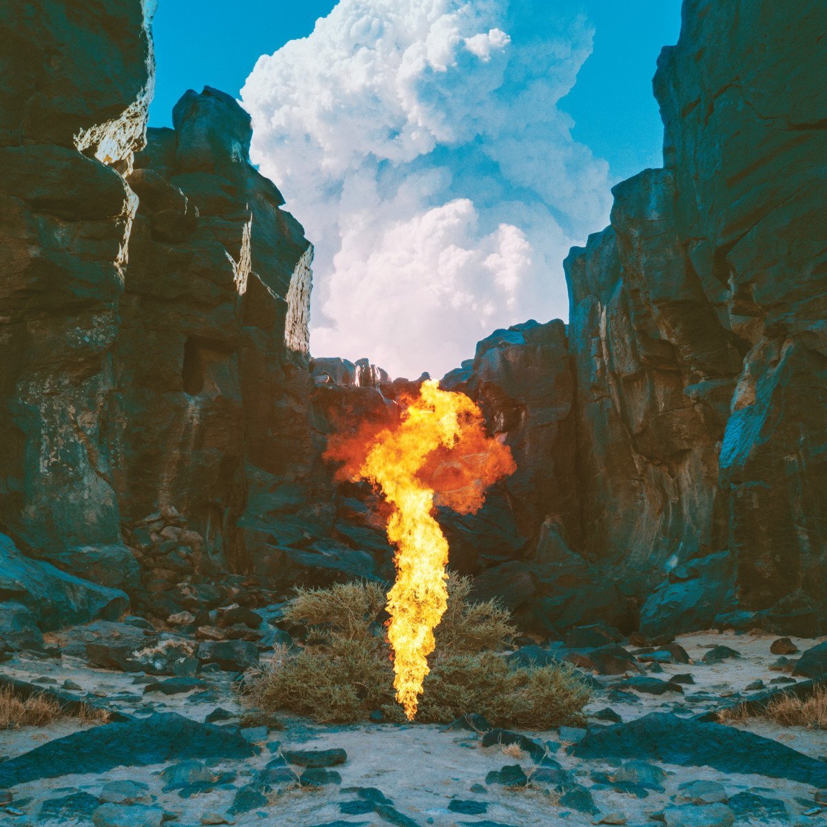 cover-bonobo