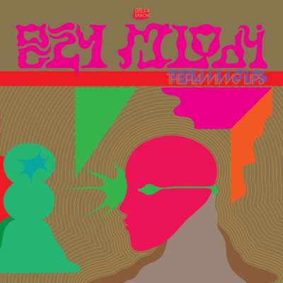 the-flaming-lips