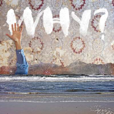 cover-why