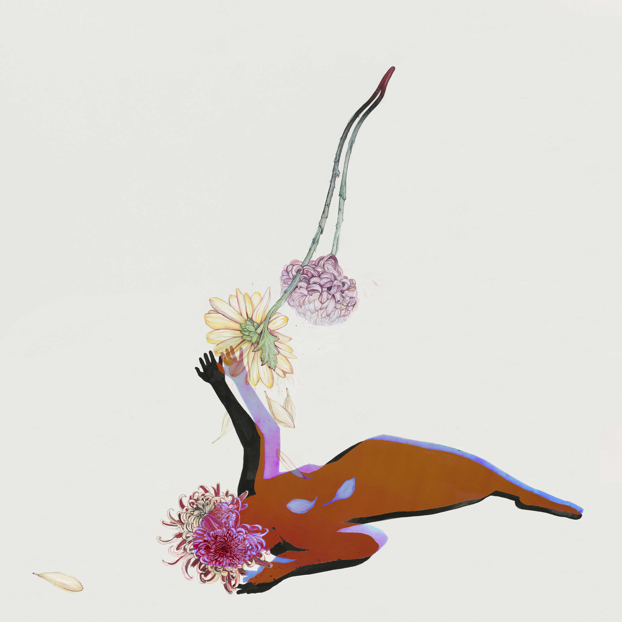 cover-future-islands-the-far-field