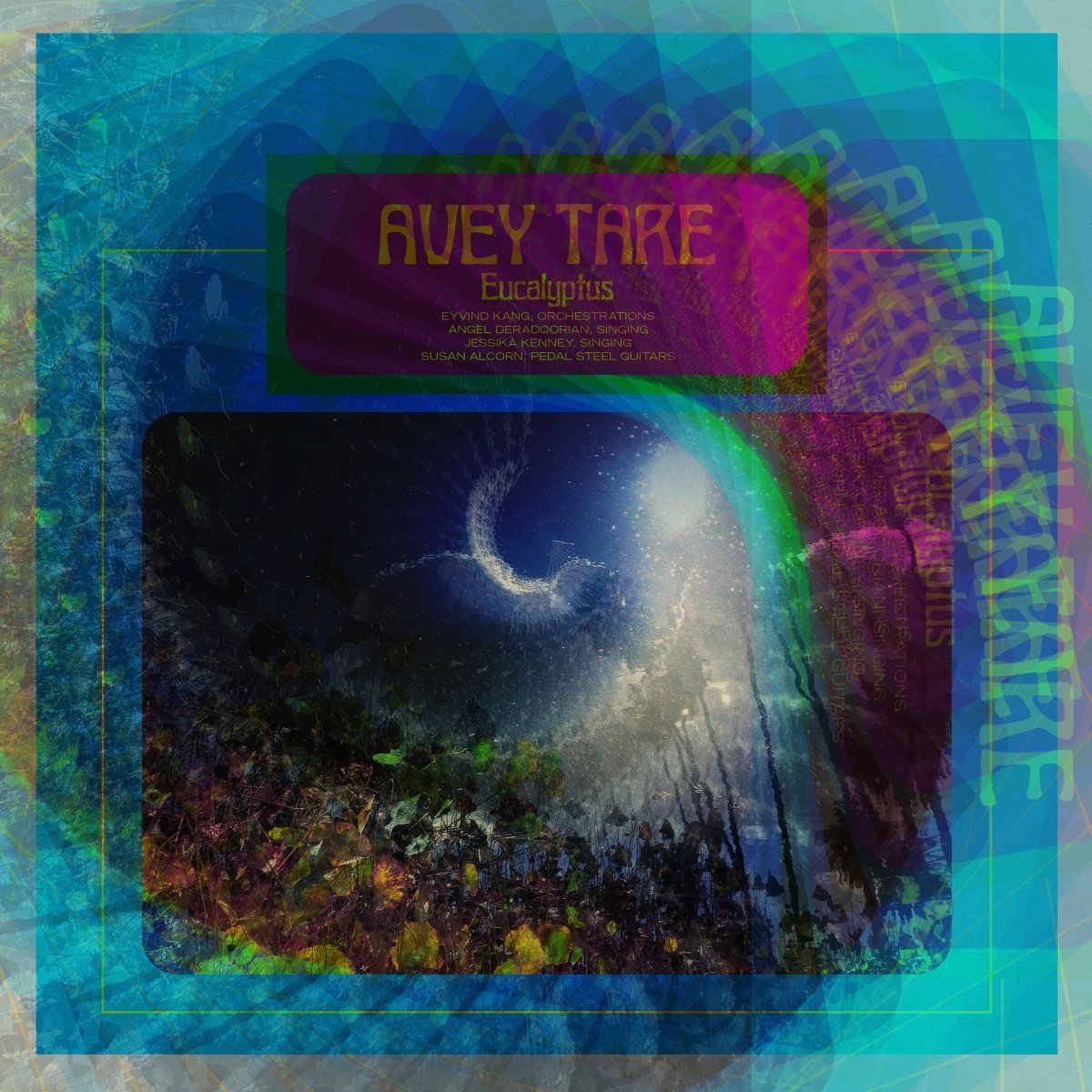 cover-avey-tare