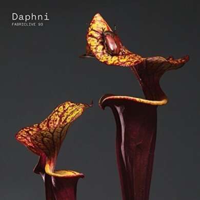 cover-daphni