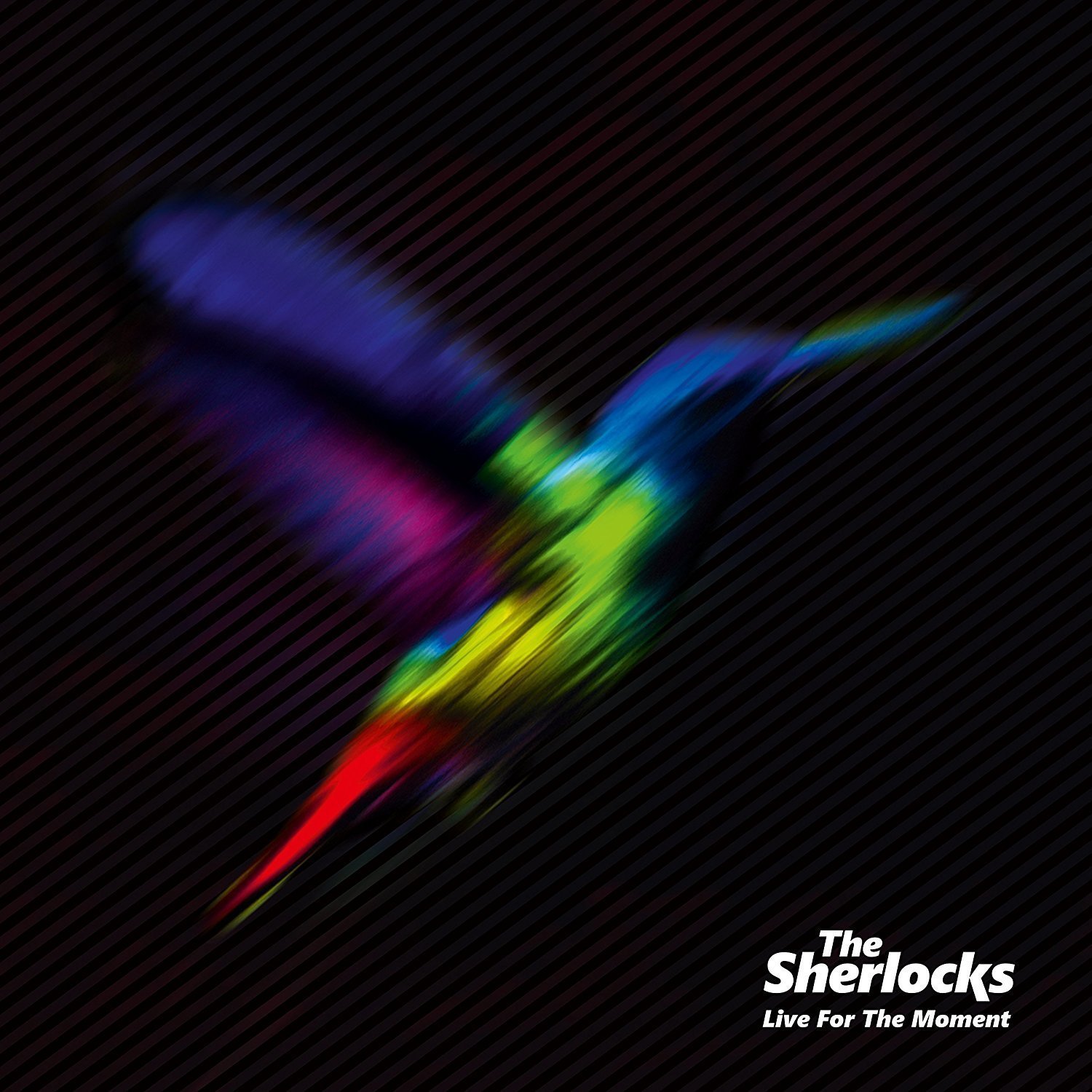 cover-the-sherlocks