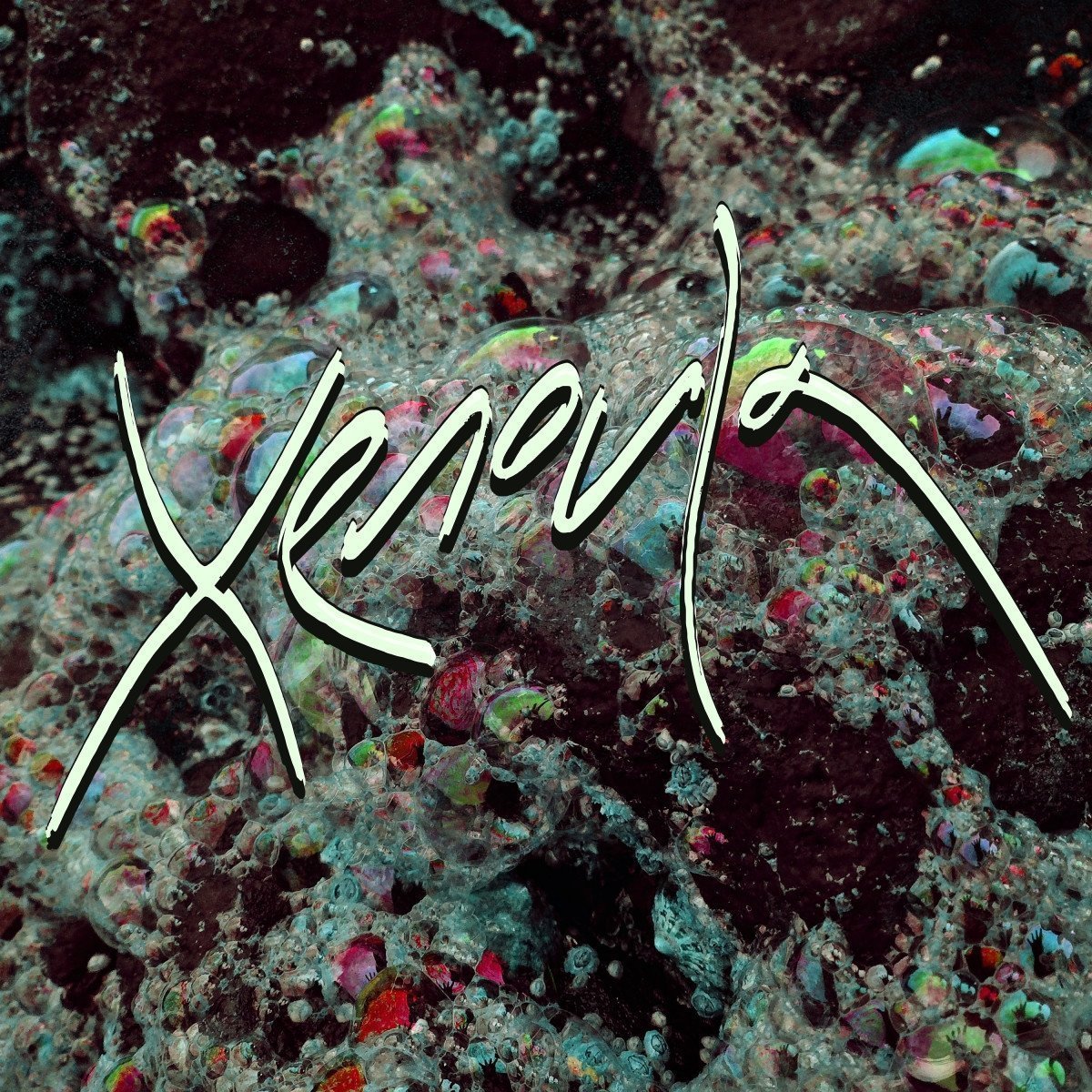 xenoula