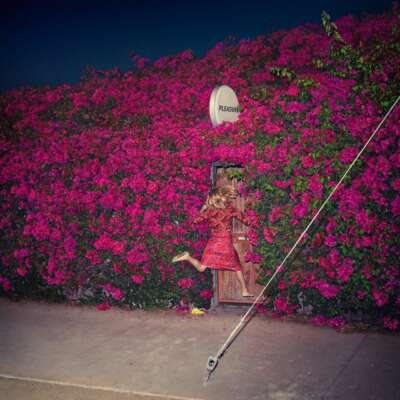 cover-feist-pleasure