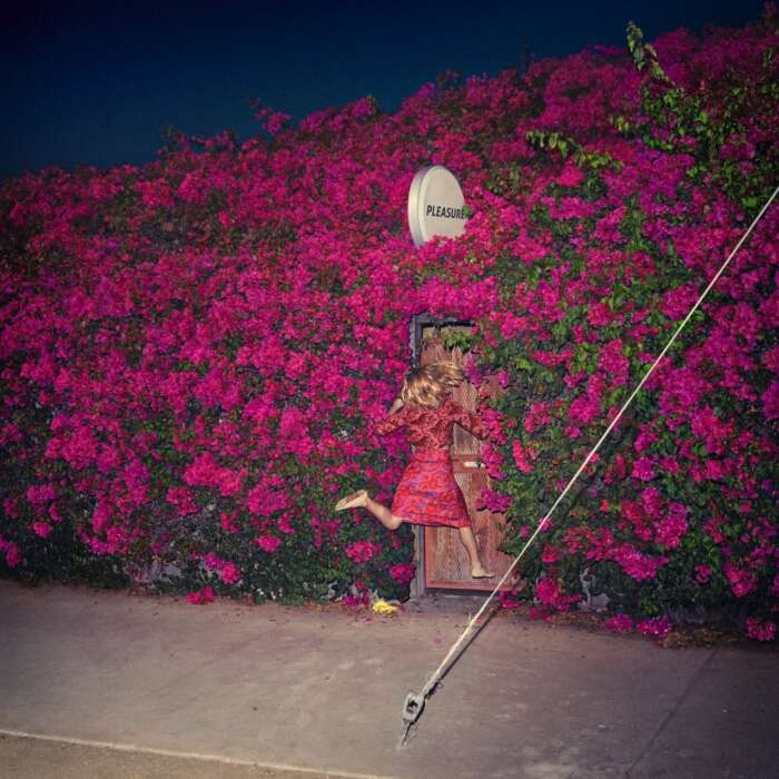 cover-feist-pleasure