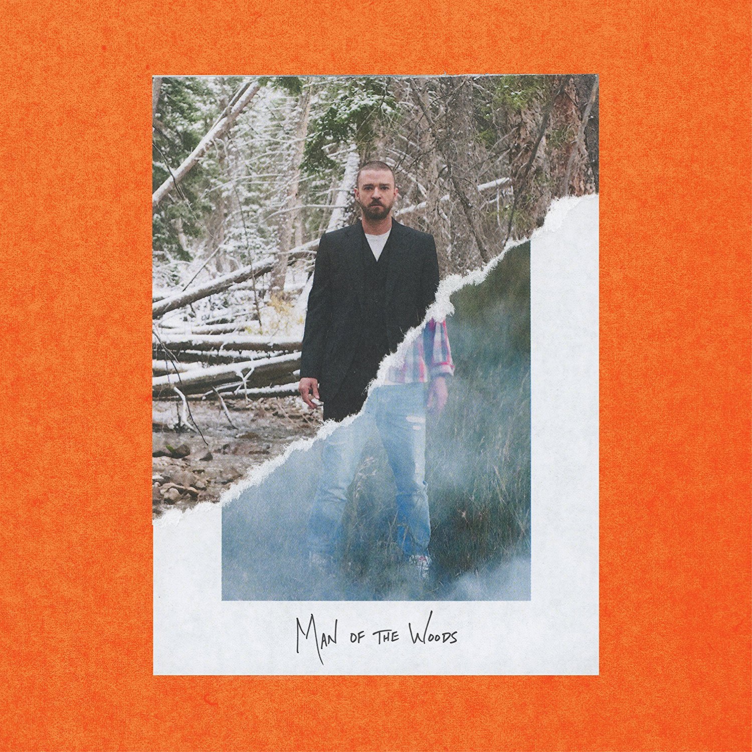 cover-timberlake