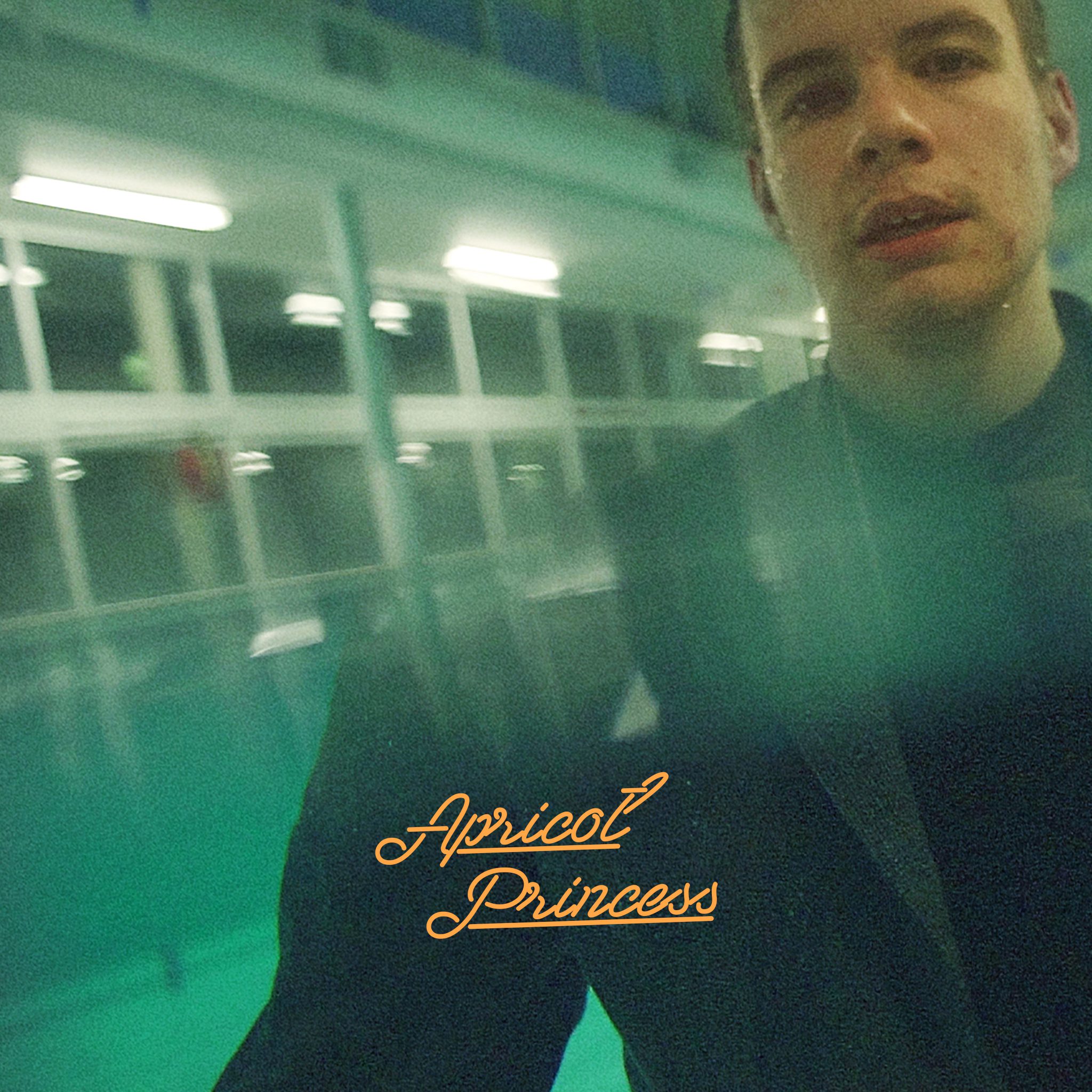 Cover RexOrangeCounty
