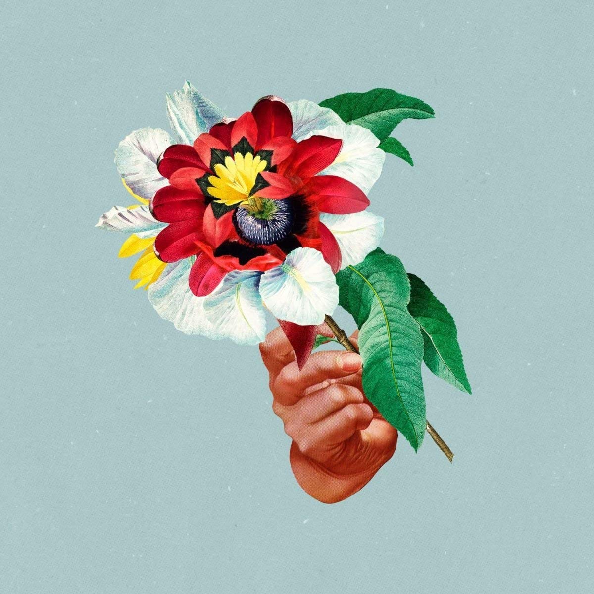 Cover Maribou State