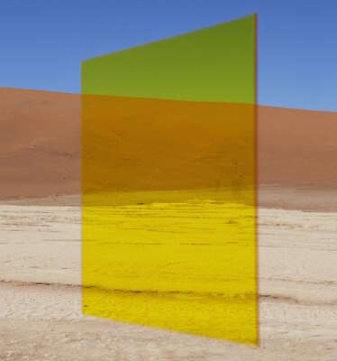 Viviane-Sassen-Fellow-Vlei
