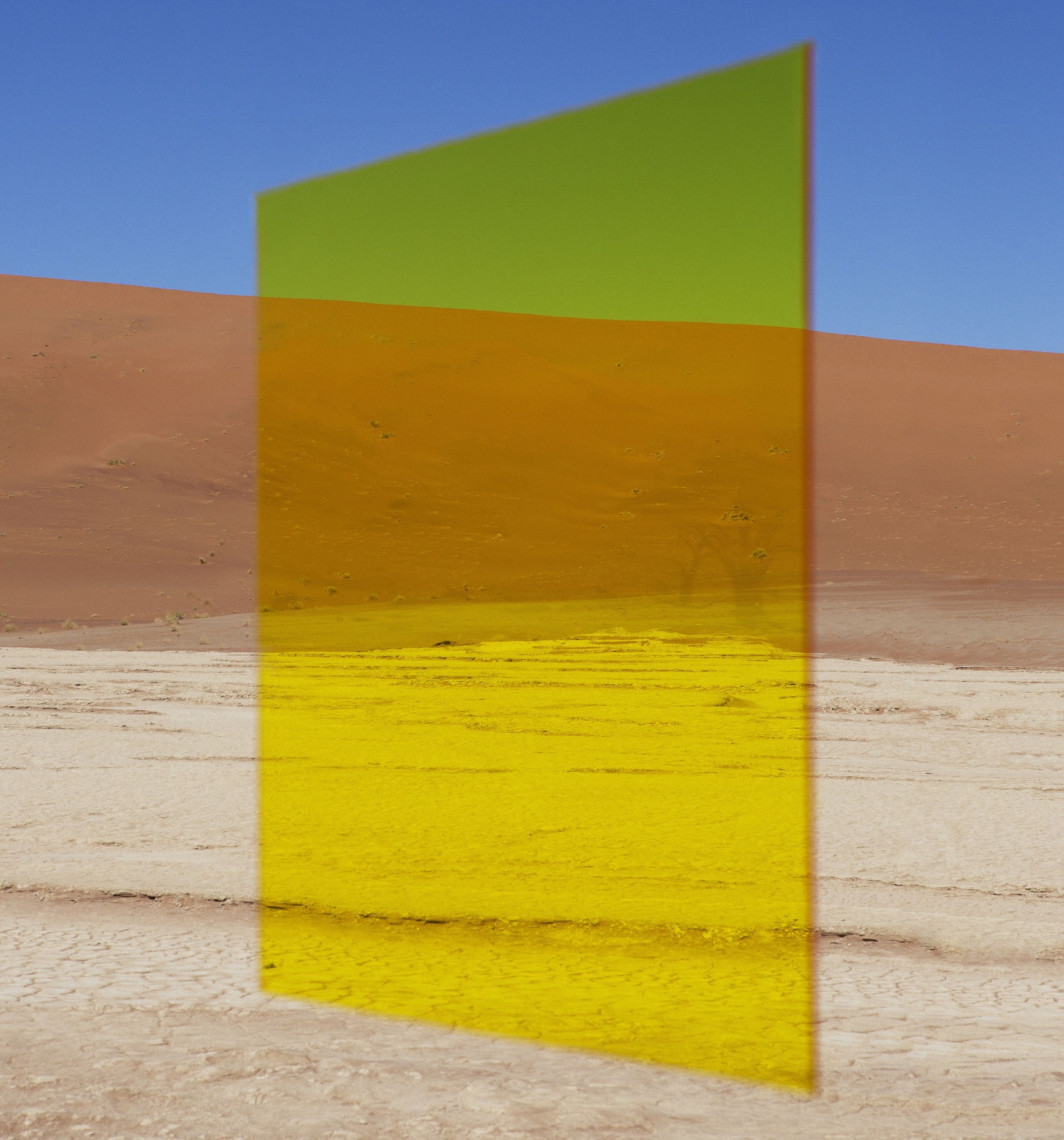 Viviane-Sassen-Fellow-Vlei