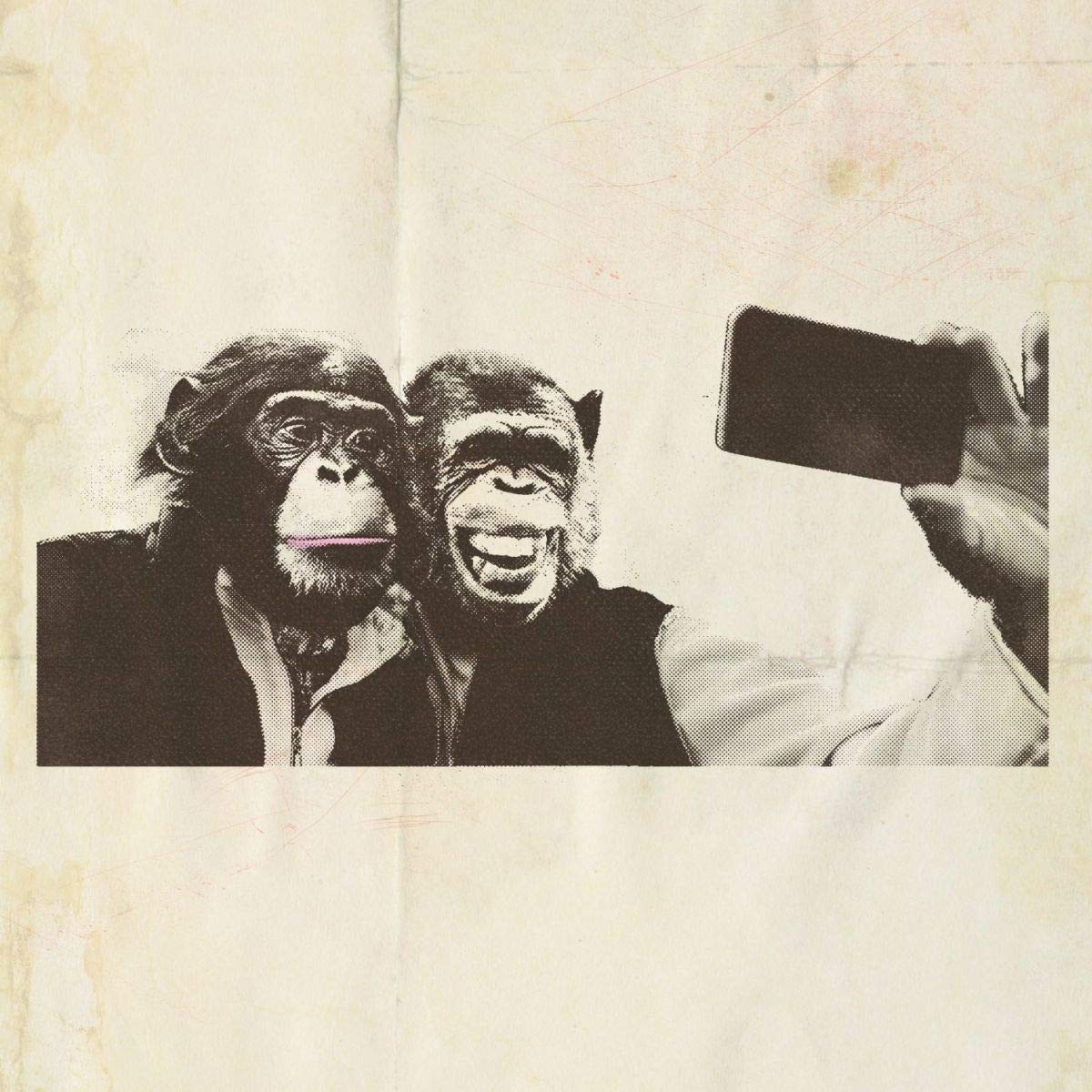 Crazy P bringen mit Age of the Ego ihr achtes Studioalbum heraus