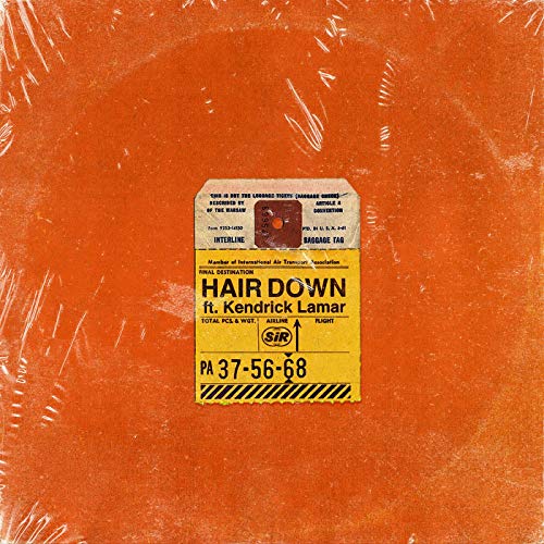 SiR feat. Kendrick Lamar "Hair Down" Cover