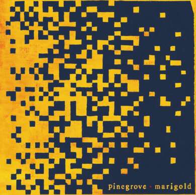 Pinegrove – Marigold (Indiefolk) Album Cover