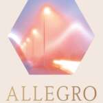 Leif Randt: Allegro Pastell