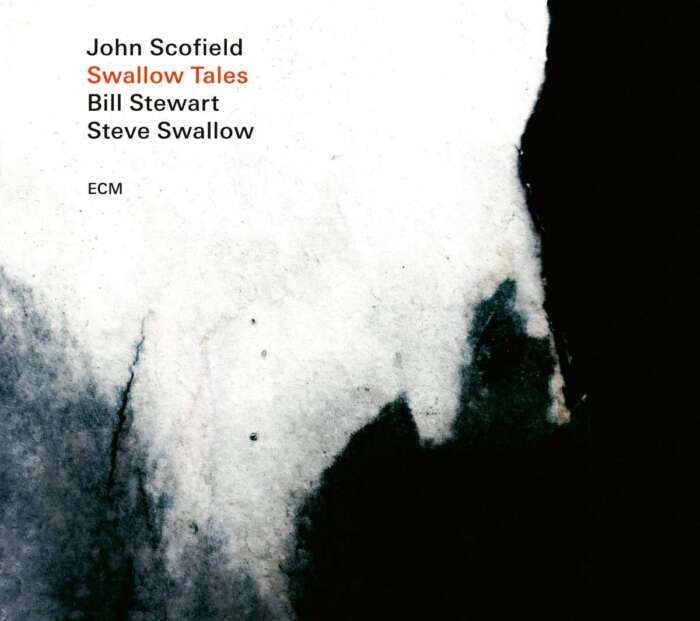 John Scofield Trio: Swallow Tales