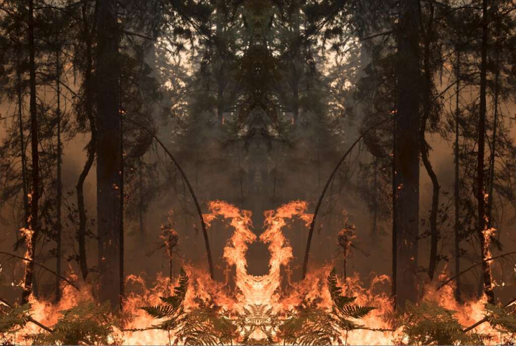 Julius von Bismarck. Feuer mit Feuer Bundeskunsthalle Bonn