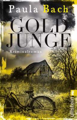 Buchcover „Goldjunge“ von Paula Bach