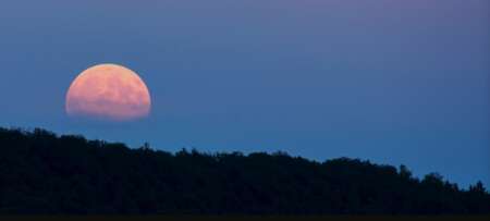 Sommernacht