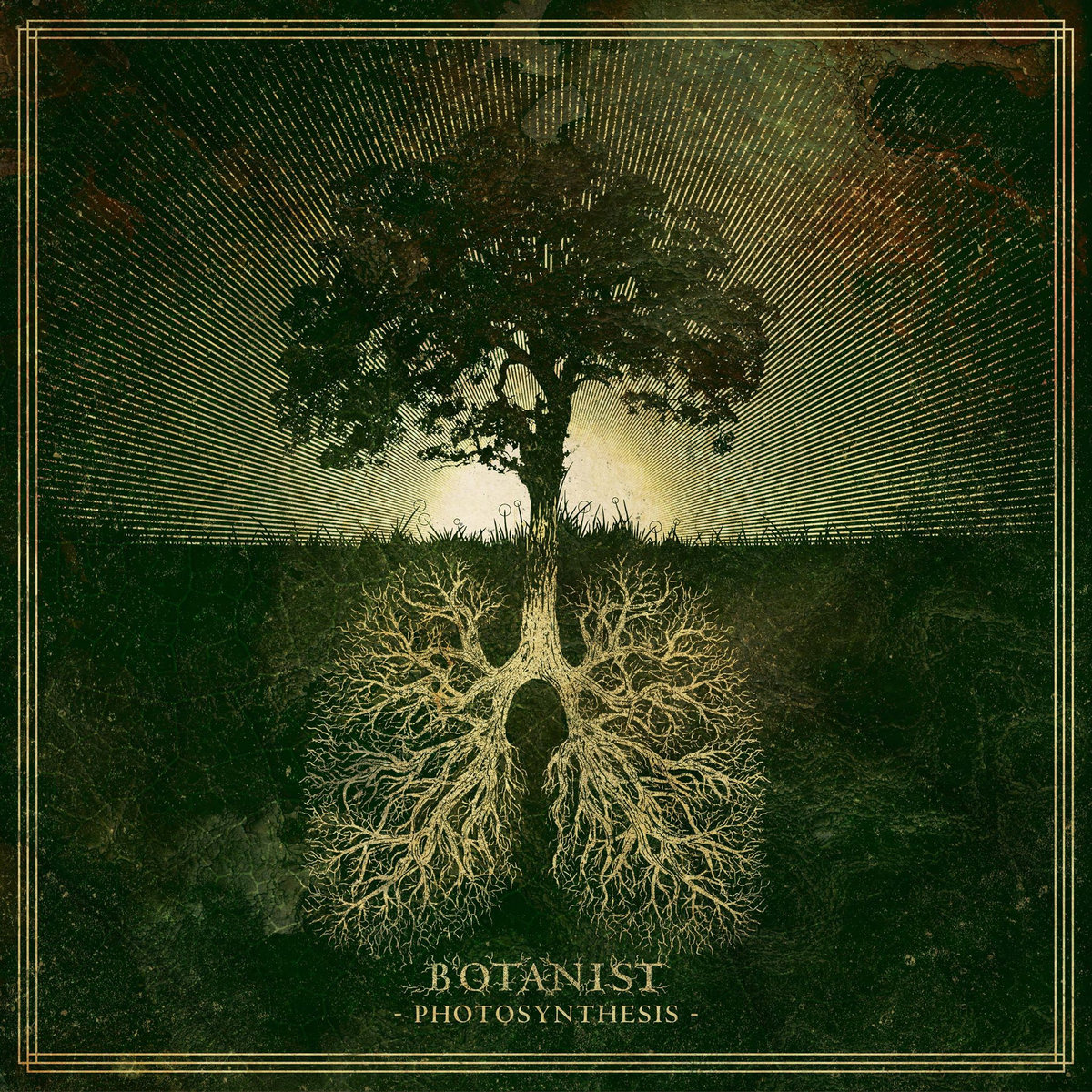 Botanist Photosynthesis Albumcover
