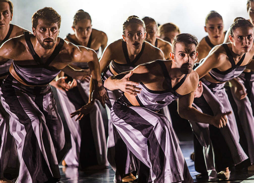 ART*HOUSE Szenenfoto Oper Halle