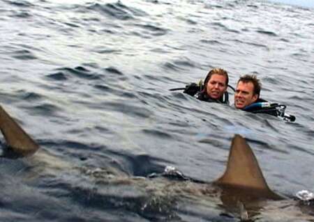 „Open Water“