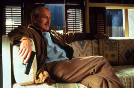 Paul Newman „Im Zwielicht“