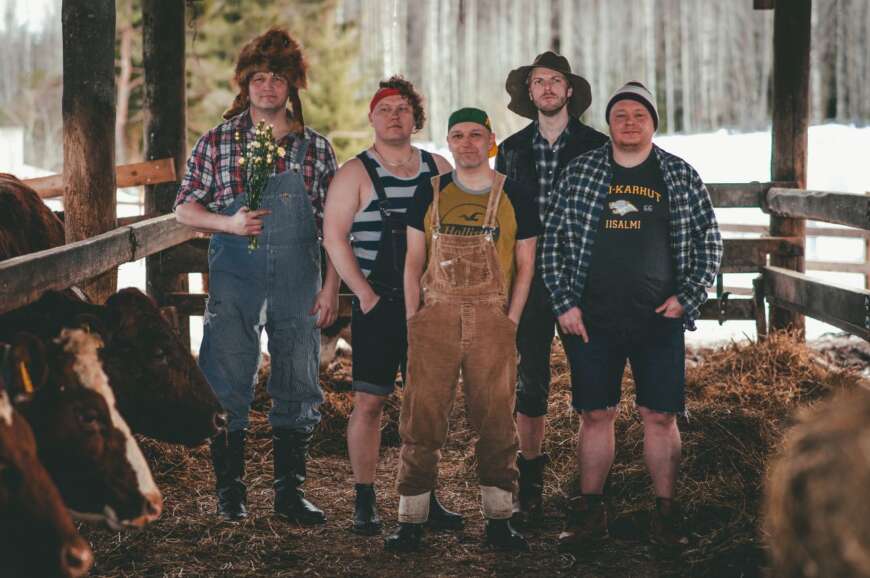 Steve’n’Seagulls