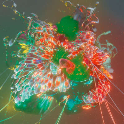 Tau 5 Kreise Albumcover