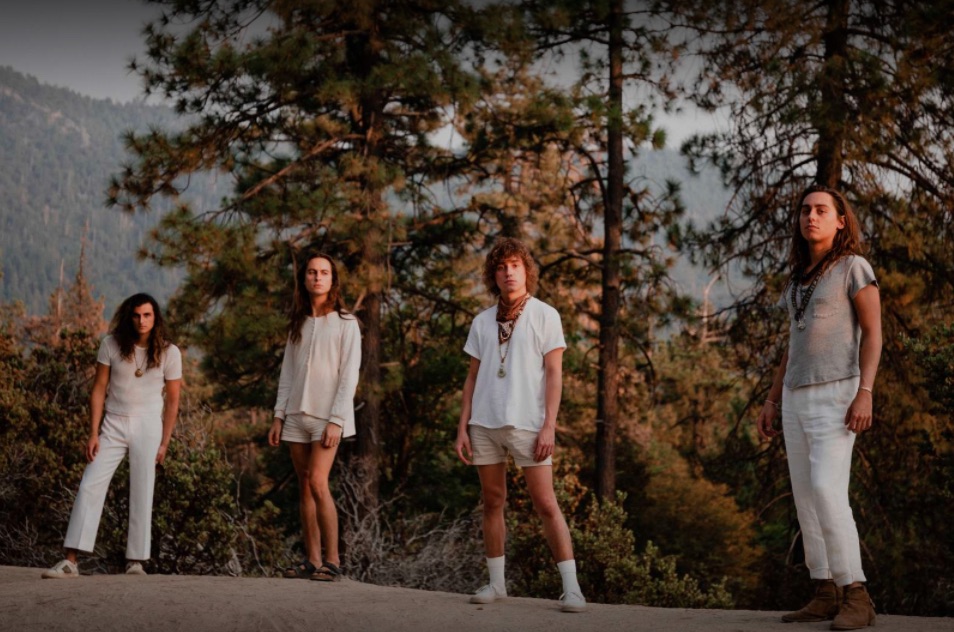 Die Bandmitglieder von Greta van Fleet stehen in weiß gekleidet vor einigen Tannenbäumen.