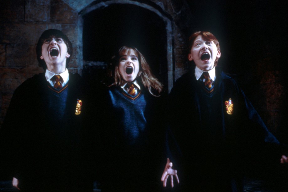 Harry Potter und der Stein der Weisen