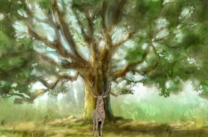 TV-Tipp: Von Tieren und Hexen