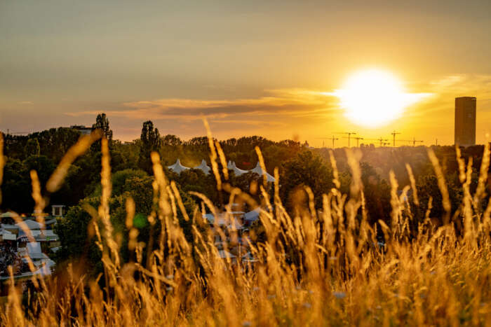 Tollwood Sommerfestival 2021