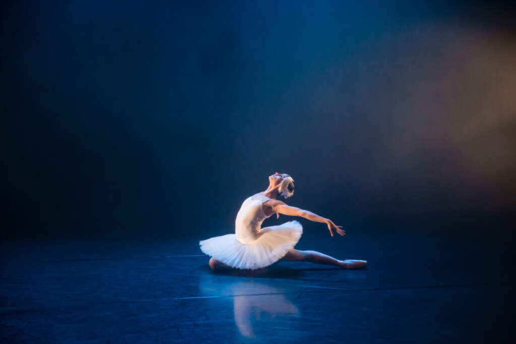 Gauthier Dance Summertime Programme