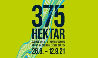 375 Hektar Festival Poster