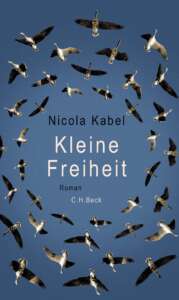 Cover „Kleine Freiheit“ von Nicola Kabel, viel Himmel, viele Vögel in Formation